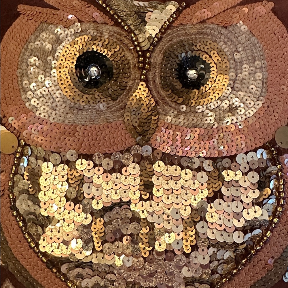 Pier 1 Imports Beaded Sequin Owl Brown Velvet Pillow 14" Square Fall Decor - Picture 13 of 13